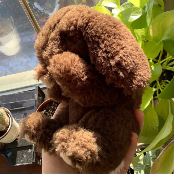 3/20$⭐️NEW Really Soft Bunny Plushie - Picture 8 of 10